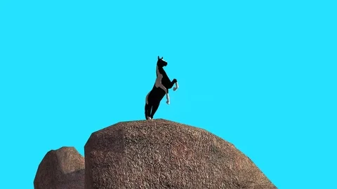 Rearing stallion on the rock Stock Footage 114760452