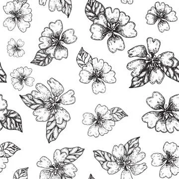 Rears flowers seamless vector pattern. Engraved blossom background great for 스톡 일러스트