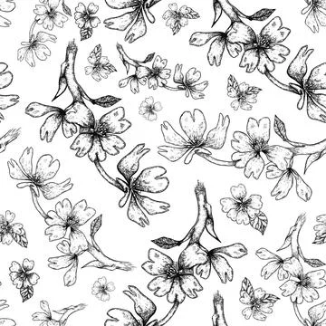 Rears flowers seamless vector pattern. Engraved blossom background great for Stock Illustration