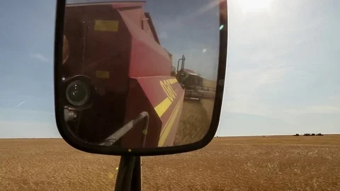Rearview mirror harvester. In the reflection of the other processor. Wheat field Video stock 73078720