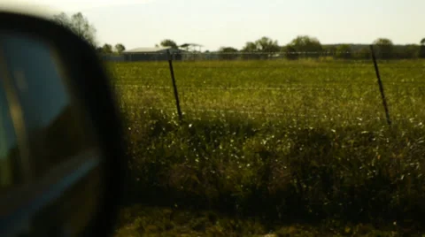 Rearview side car mirror while driving by grassy meadow with fence sunrise Stock Footage 31214577
