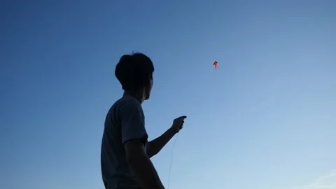 Rearview of a teenage boy pulling down string of wind kite flying in blue sky. Stock Footage 135366325
