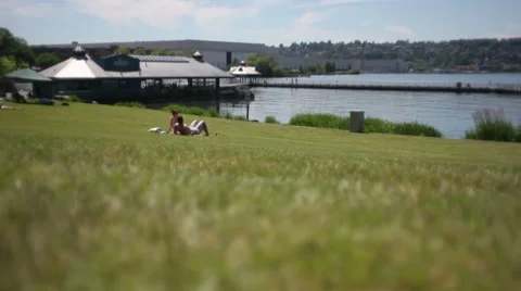 Reaxing in park Stock Footage 7344484