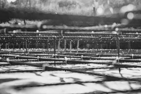 The rebar in the Foundation Stock Photos
