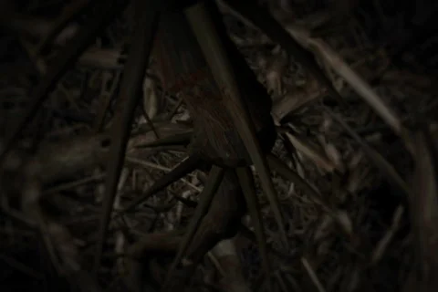 Reborn NTSC Stock Footage 367259