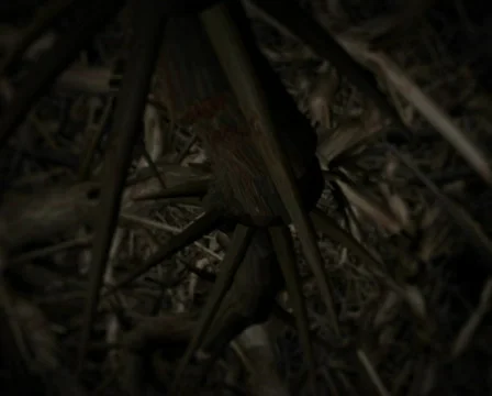 Reborn PAL 스톡 동영상 367273