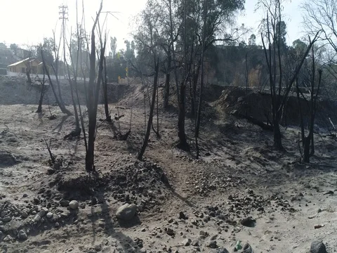 Rebuild from Fire Vidéo 84396106