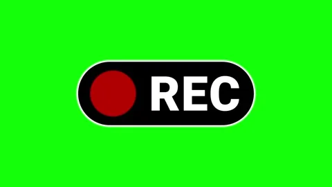 REC Button Animation with Blinking Red Dot on Green Screen Stock Footage 312416442