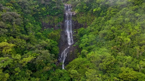 . Receding View of Pristine Forest Waterfall Veiled in Misty Atmosphere Stock Footage 306241070