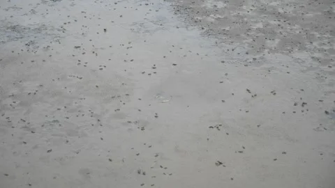 Receding Waters During Low Tide 動画素材 244148049