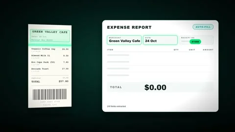 Receipt ocr scan and expense report data extraction animation. 4K 스톡 동영상 348234862