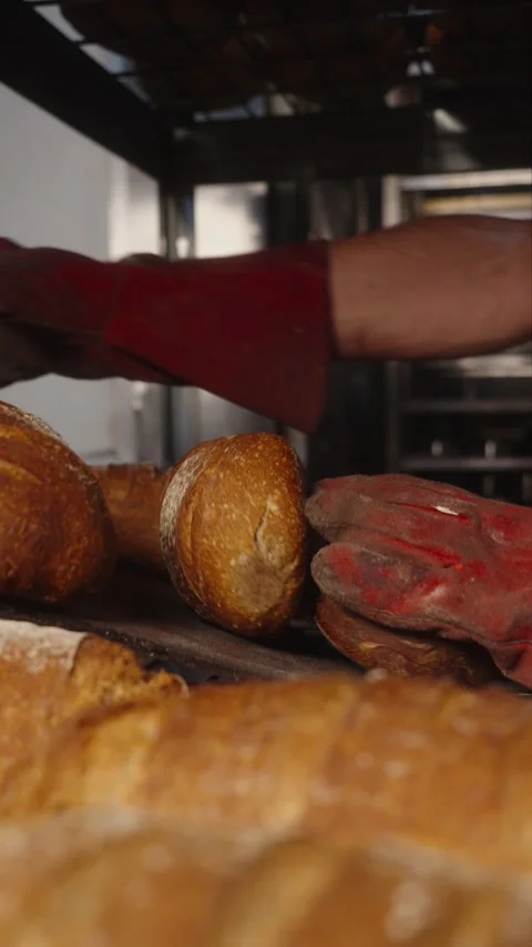 Receiving and Arranging Freshly Baked Bread in a Bakery Stock Footage 345494266