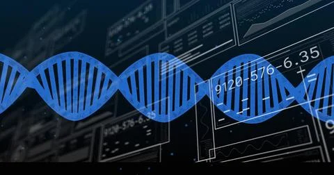 Receiving data stream, large blue DNA helix pulsing across dashboard, showing Stock Photos