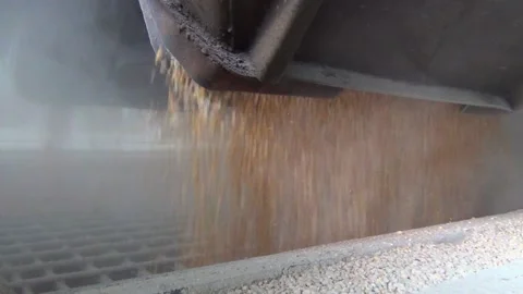 Receiving grain into an elevator from a freight car on a railroad, grain runs in Stock Footage 138087720
