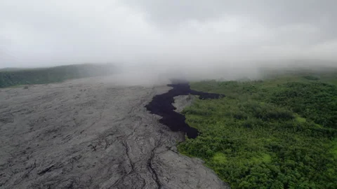 Recent Lava Flows and Regrowing Forest Reunion Island Stock Footage 317875441