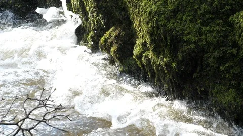 Recently built dippers nest (Cinclus cinclus) being washed out Stock-Footage 108055078