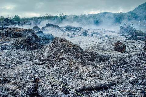 Recently extinguished forest fire, with small smoldering embers still smoking Stock Photos