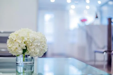 Reception Interior Stock Photos