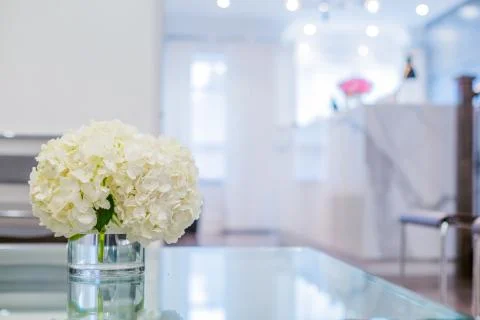 Reception Interior Stock Photos