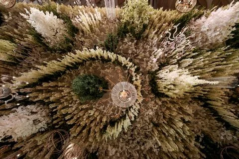 Reception Stage Decor Stock Photos