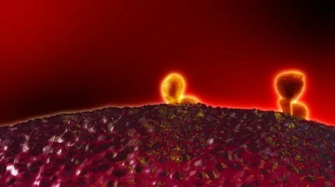 Receptors Stock Footage 8639687