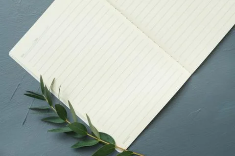 Recipe empty notebook pages olive branch grey Stock Photos