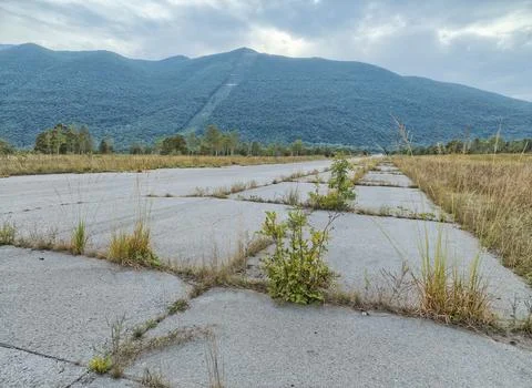 Reclaimed by Nature: Zeljava Airfield Stock Photos