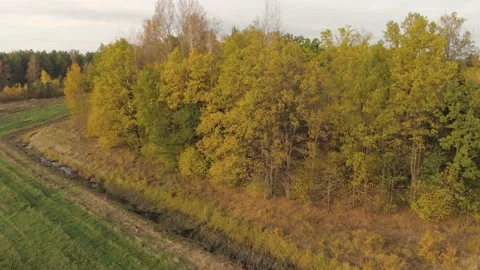 Reclamation ditch between forest and field Stockbeeldmateriaal 148809281