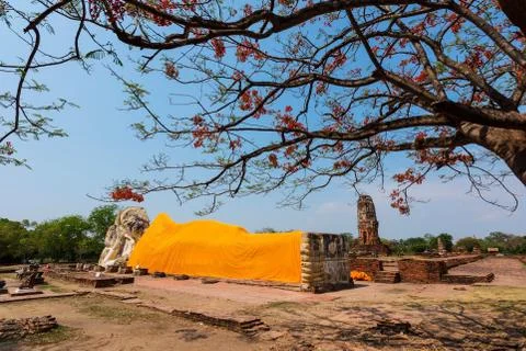 Reclining big Buddha with Spring tree, Ayutthaya Stock Photos