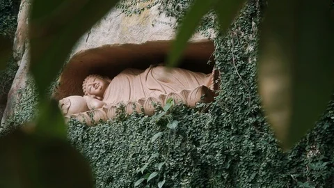 Reclining Buddha Statue With Vines Stock Footage 116469836