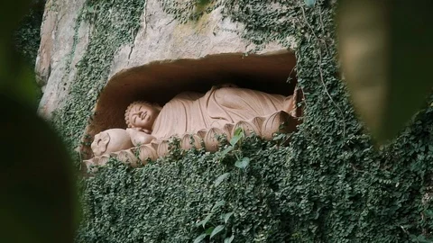 Reclining Buddha Statue With Vines 動画素材 116469906