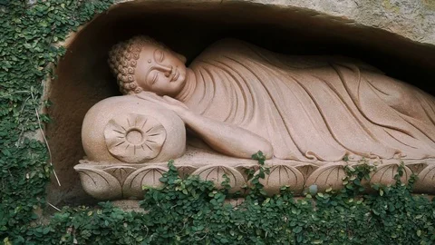 Reclining Buddha Statue With Vines Stock Footage 116469949