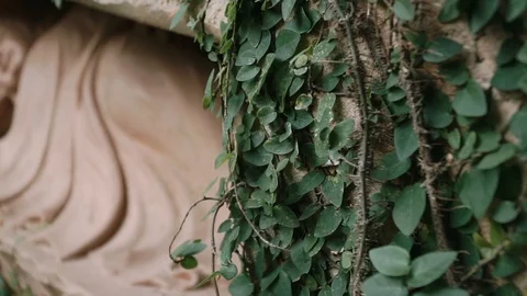 Reclining Buddha Statue With Vines Stock Footage 116470128