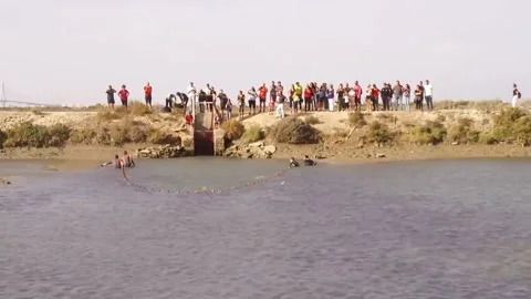 Recogida de red, pesca de estrero en Cádiz Video stock 153439586