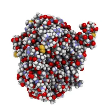 Recombinant dnase i dna cutting enzyme (dornase alfa), chemical structure. us Stock Illustration