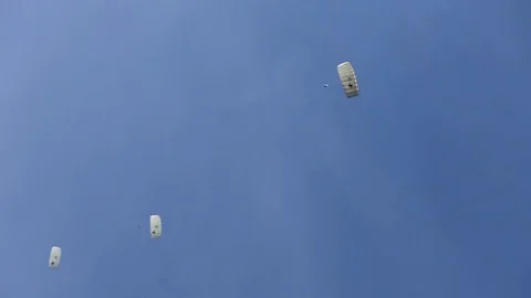 Reconnaissance Marines parachuting Stockbeeldmateriaal 87683896