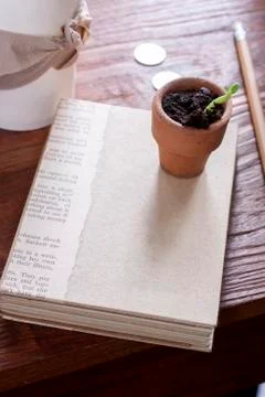 Record of conservatism Stock Photos