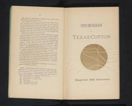 RECORD DATE NOT STATED  Absorption of cotton through a microscope, anonymo... Stock Photos