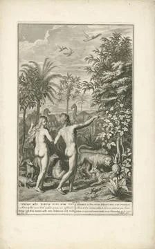 RECORD DATE NOT STATED  Adam and Eva in Paradise, Joseph Mulder, After Ger... Stock-Fotos