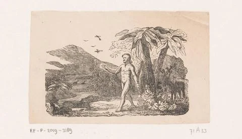 RECORD DATE NOT STATED  Adam in Paradise, Anonymous, 1800 - 1899 print pap... Stock Photos