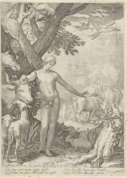 RECORD DATE NOT STATED  Adam gives the animals names, Jan Saenredam, After... Stock Photos