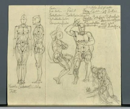 RECORD DATE NOT STATED  Alexander Rothaug Various anatomical studies. Penc... Stock Photos