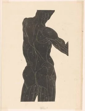 RECORD DATE NOT STATED  Anatomical study of the back and buttock muscles o... Stock Photos