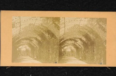 RECORD DATE NOT STATED  Anonym Pergola in the park of St. Cloud near Paris... Foto stock