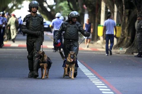 RECORD DATE NOT STATED army in the brazilian independence parade salvador,... Stock-Fotos