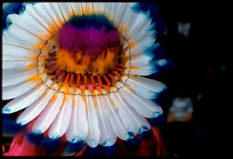 RECORD DATE NOT STATED Back of hat with feathers in radiating pattern , He... Stock Photos