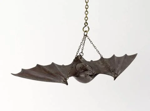 RECORD DATE NOT STATED  Bat. Bronze. Japan. Paris, Cernuschi museum. Anima... 写真素材
