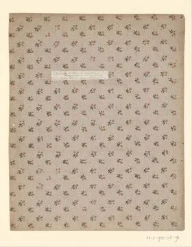 RECORD DATE NOT STATED  Black pattern leaf pattern on points stock, Anonym... Stock Photos