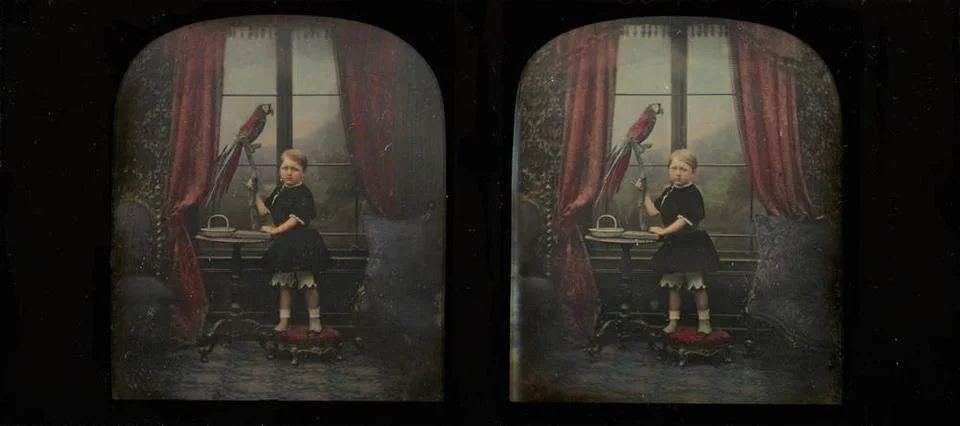RECORD DATE NOT STATED Boy with parrot. Antoine Claudet (French, 1797 - 18... Stock Photos