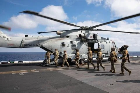 RECORD DATE NOT STATED  British Royal Marines and U.S. Marines with Alpha ... Stock Photos